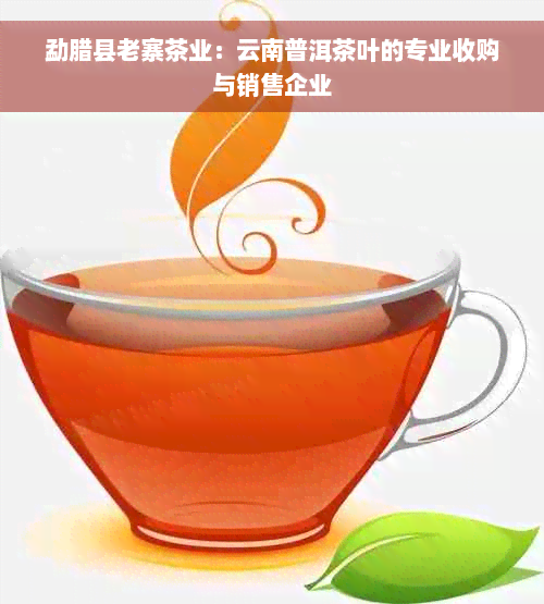 勐腊县老寨茶业：云南普洱茶叶的专业收购与销售企业