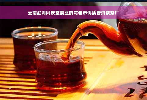 云南勐海同庆堂茶业的龙岩市优质普洱茶茶厂