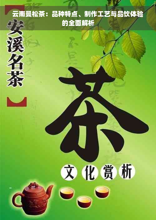 云南曼松茶：品种特点、制作工艺与品饮体验的全面解析