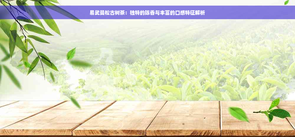 易武曼松古树茶：独特的陈香与丰富的口感特征解析