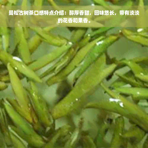 曼松古树茶口感特点介绍：醇厚香甜，回味悠长，带有淡淡的花香和果香。