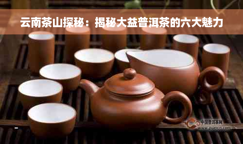 云南茶山探秘：揭秘大益普洱茶的六大魅力