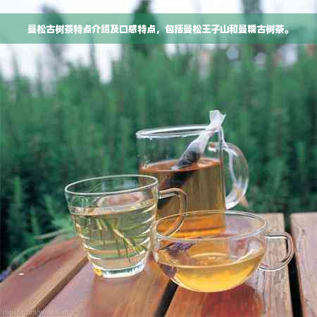 曼松古树茶特点介绍及口感特点，包括曼松王子山和曼糯古树茶。