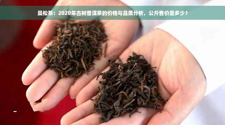曼松茶：2020年古树普洱茶的价格与品质分析，公斤售价是多少？