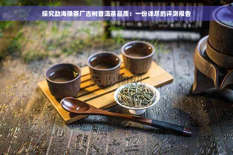 探究勐海豫茶厂古树普洱茶品质：一份详尽的评测报告