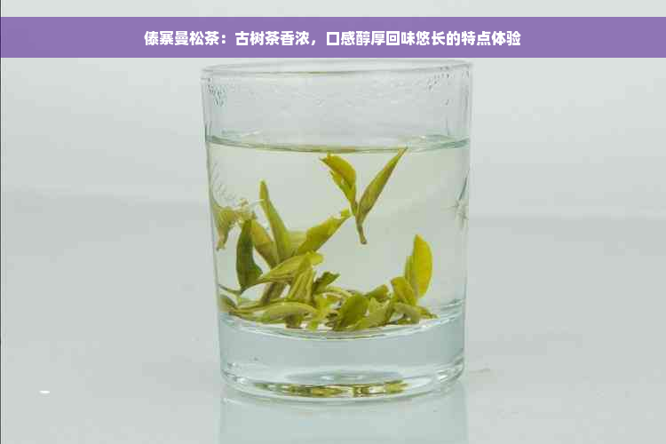 傣寨曼松茶：古树茶香浓，口感醇厚回味悠长的特点体验