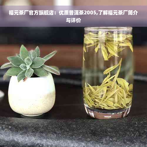 福元茶厂官方旗舰店：优质普洱茶2005,了解福元茶厂简介与评价