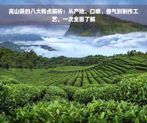高山茶的八大特点解析：从产地、口感、香气到制作工艺，一次全面了解