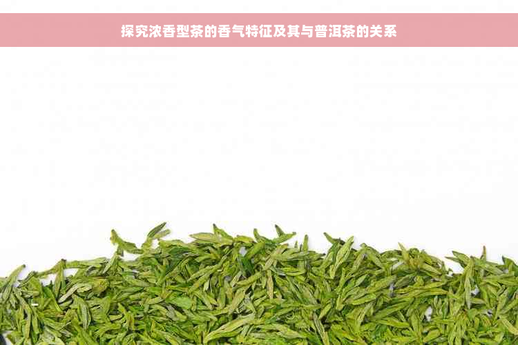 探究浓香型茶的香气特征及其与普洱茶的关系