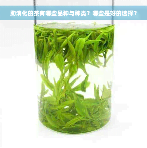 助消化的茶有哪些品种与种类？哪些是好的选择？