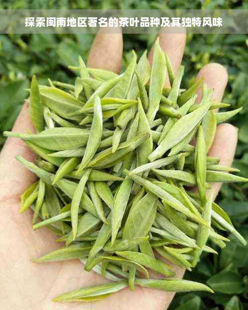 探索闽南地区著名的茶叶品种及其独特风味