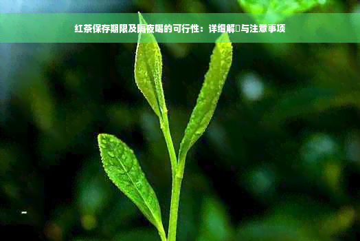 红茶保存期限及隔夜喝的可行性：详细解冔与注意事项