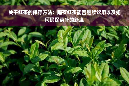关于红茶的保存方法：隔夜红茶能否继续饮用以及如何确保茶叶的新度