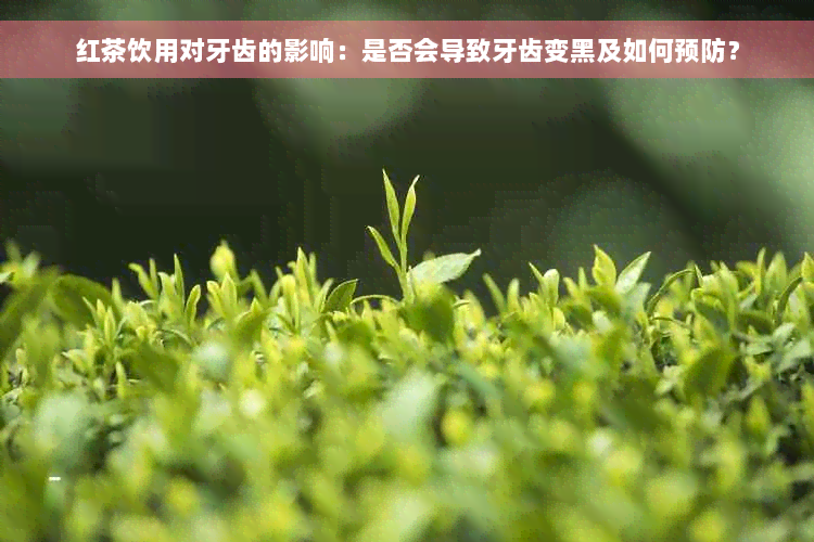 红茶饮用对牙齿的影响：是否会导致牙齿变黑及如何预防？