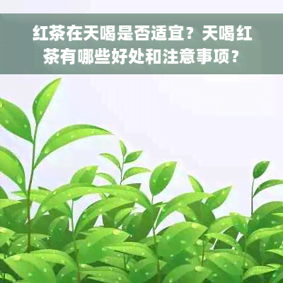 红茶在天喝是否适宜？天喝红茶有哪些好处和注意事项？