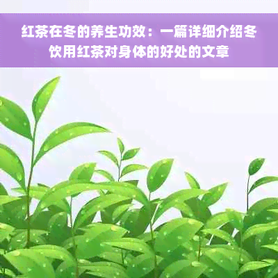 红茶在冬的养生功效：一篇详细介绍冬饮用红茶对身体的好处的文章