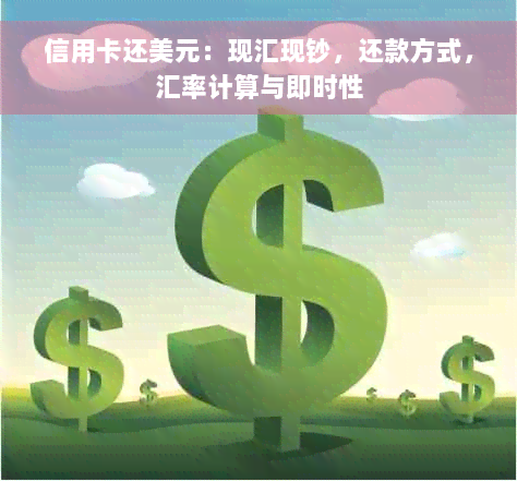 信用卡还美元：现汇现钞，还款方式，汇率计算与即时性