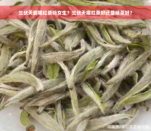 三伏天能喝红茶吗女生？三伏天喝红茶好还是绿茶好？