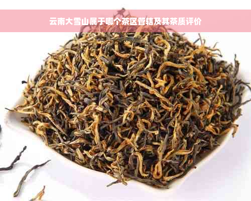 云南大雪山属于哪个茶区管辖及其茶质评价