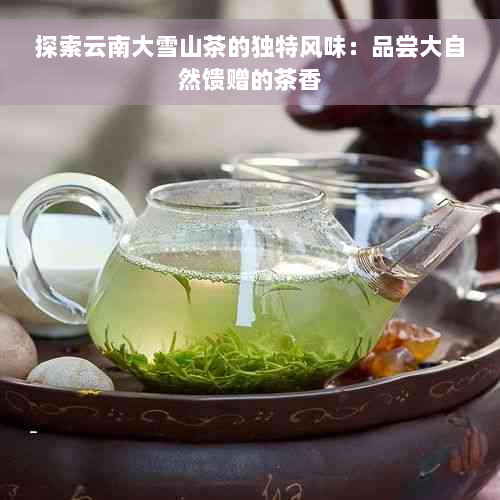 探索云南大雪山茶的独特风味：品尝大自然馈赠的茶香