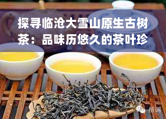 探寻临沧大雪山原生古树茶：品味历悠久的茶叶珍品