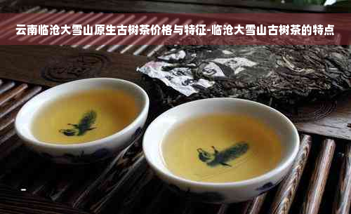 云南临沧大雪山原生古树茶价格与特征-临沧大雪山古树茶的特点
