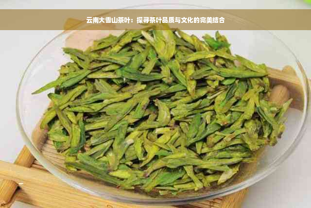 云南大雪山茶叶：探寻茶叶品质与文化的完美结合