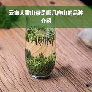 云南大雪山茶是哪几座山的品种介绍