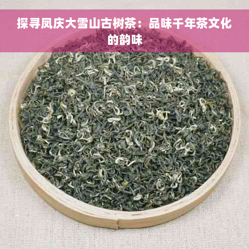 探寻凤庆大雪山古树茶：品味千年茶文化的韵味