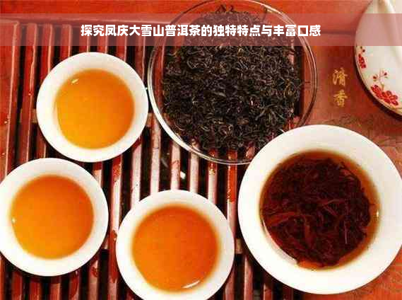 探究凤庆大雪山普洱茶的独特特点与丰富口感