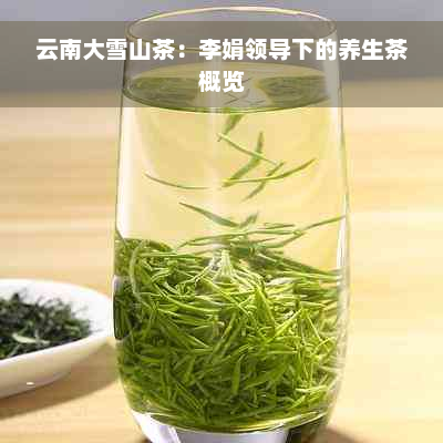 云南大雪山茶：李娟领导下的养生茶概览