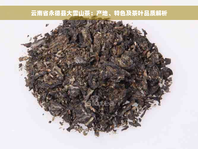 云南省永德县大雪山茶：产地、特色及茶叶品质解析
