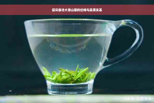 探究临沧大雪山茶的价格与品质关系