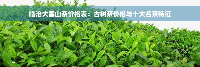 临沧大雪山茶价格表：古树茶价格与十大名茶特征