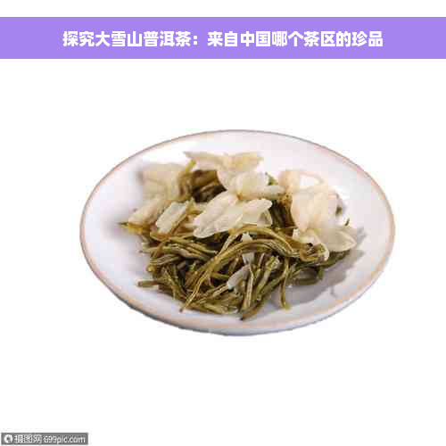 探究大雪山普洱茶：来自中国哪个茶区的珍品