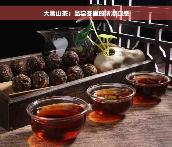 大雪山茶：品尝冬里的清凉口感