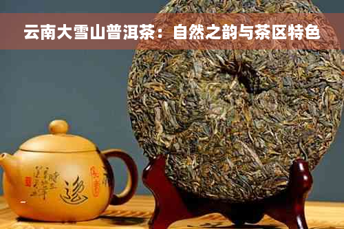 云南大雪山普洱茶：自然之韵与茶区特色