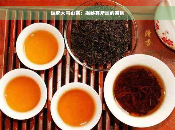 探究大雪山茶：揭秘其所属的茶区