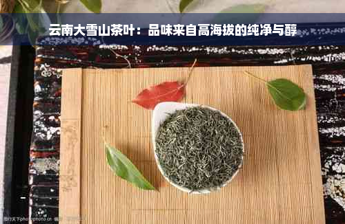 云南大雪山茶叶：品味来自高海拔的纯净与醇