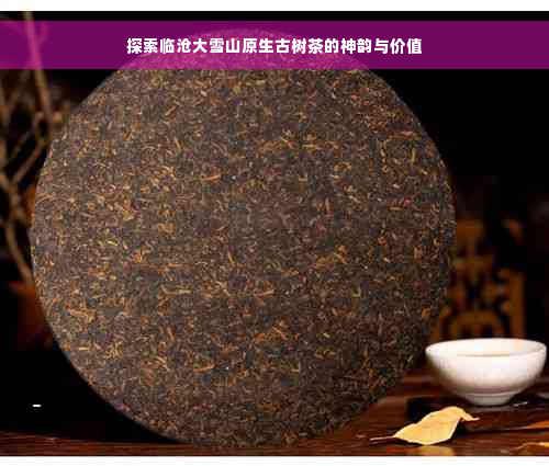 探索临沧大雪山原生古树茶的神韵与价值