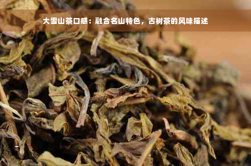 大雪山茶口感：融合名山特色，古树茶的风味描述