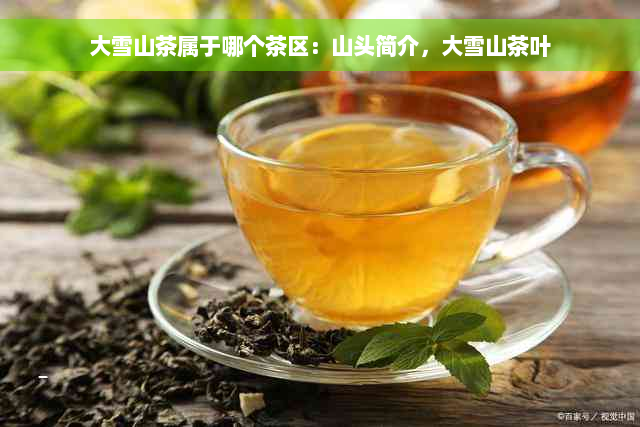 大雪山茶属于哪个茶区：山头简介，大雪山茶叶