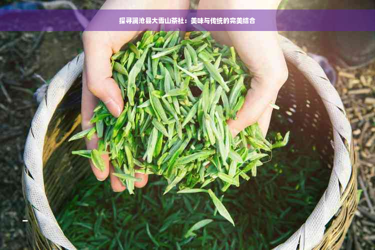 探寻澜沧县大雪山茶社：美味与传统的完美结合