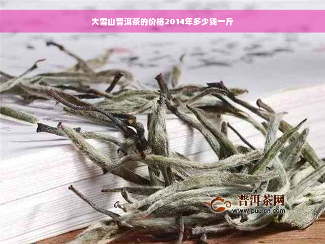 大雪山普洱茶的价格2014年多少钱一斤