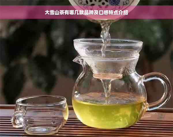 大雪山茶有哪几款品种及口感特点介绍