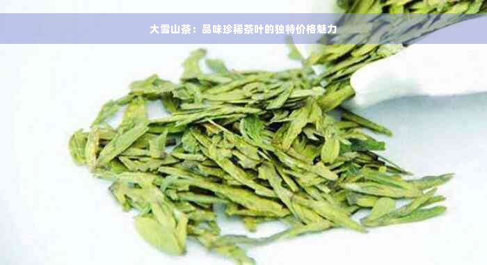 大雪山茶：品味珍稀茶叶的独特价格魅力