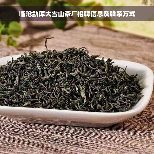 临沧勐库大雪山茶厂招聘信息及联系方式