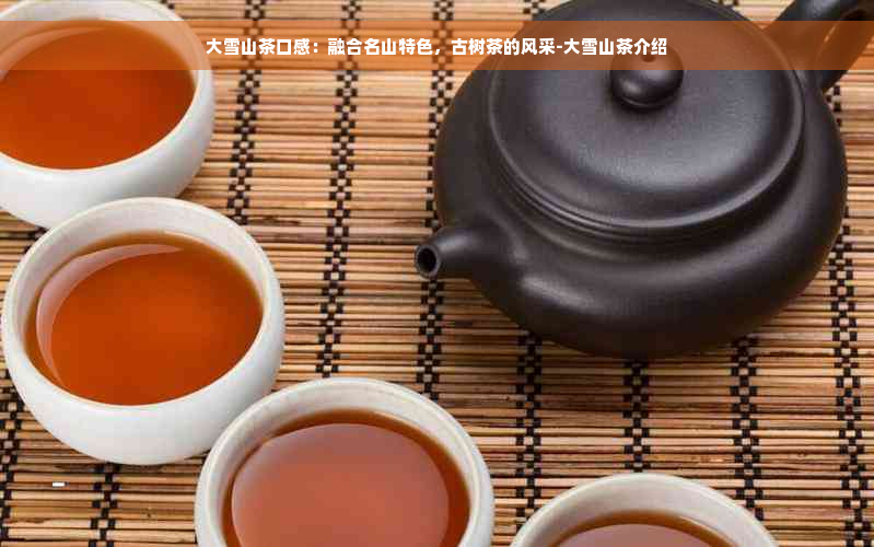 大雪山茶口感：融合名山特色，古树茶的风采-大雪山茶介绍