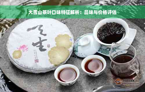 大雪山茶叶口味特征解析：品味与价格评估
