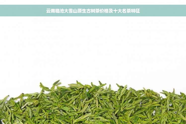 云南临沧大雪山原生古树茶价格及十大名茶特征